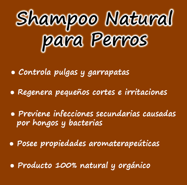 Shampoo Natural para Perros - Imagen 2